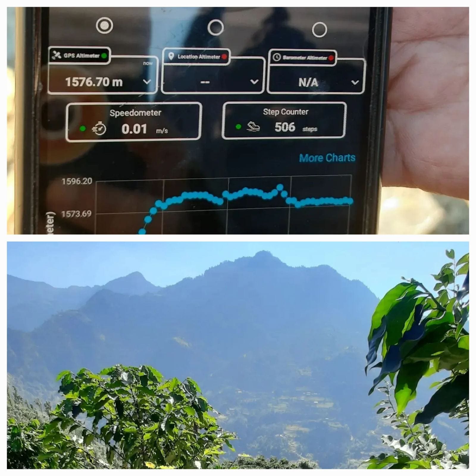 Olla Farm Altitude