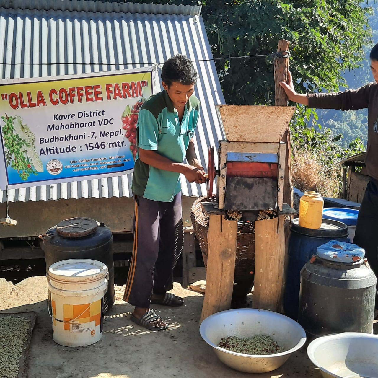 Coffee Pulping